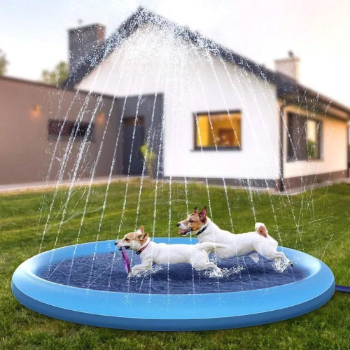 CoolPaws – Houd Je Hond Koel & Blij Deze Zomer