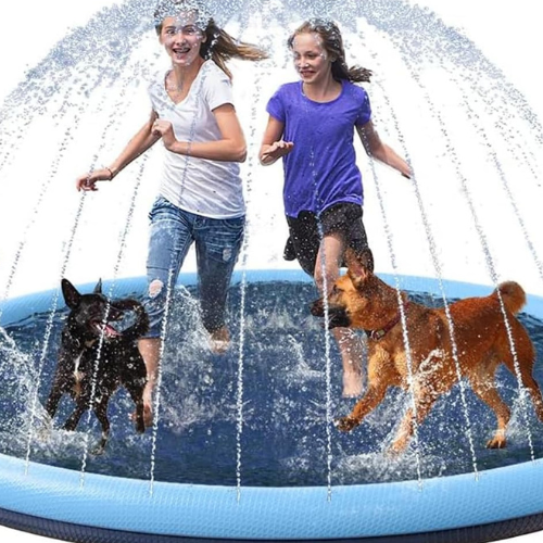 CoolPaws – Houd Je Hond Koel & Blij Deze Zomer