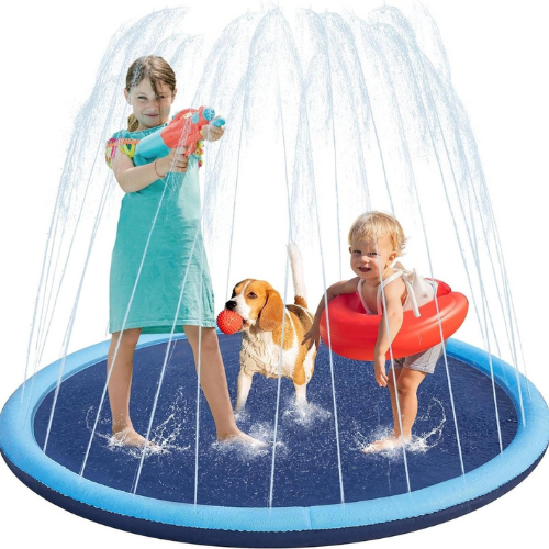 CoolPaws – Houd Je Hond Koel & Blij Deze Zomer